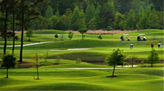 The Grand Hotel At Coushatta (Adults Only) Kinder Eksteriør bilde